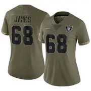 Women's Olive Limited Andre James Las Vegas 2022 Salute To Service Jersey